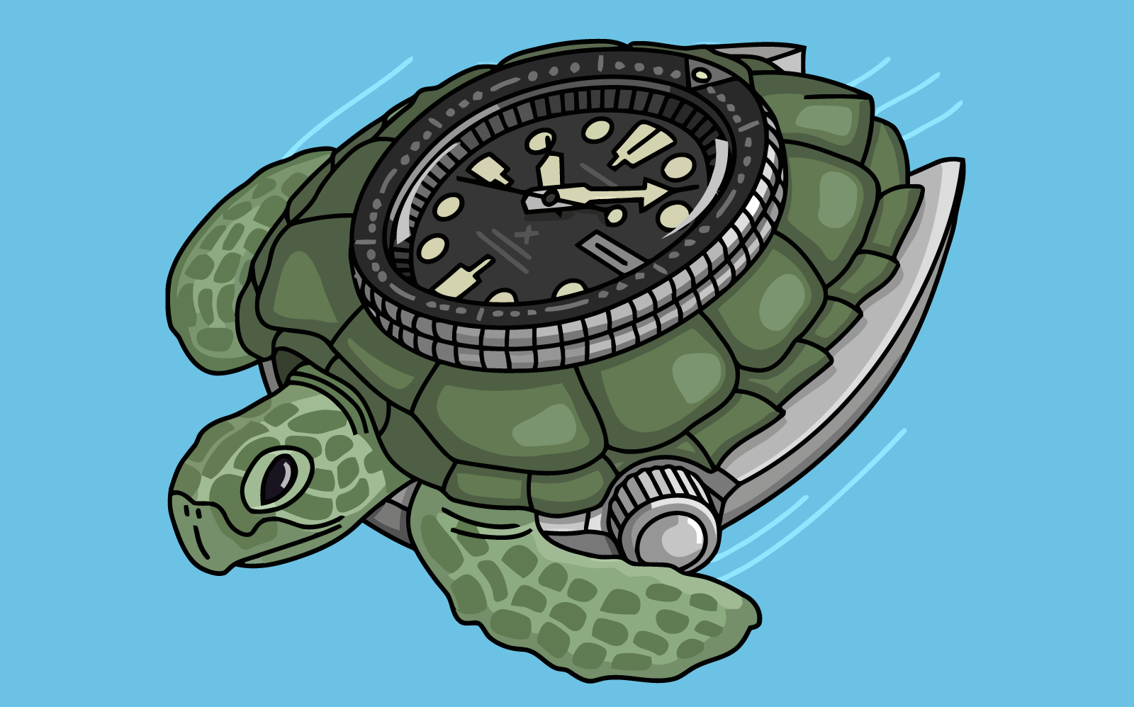STEELDIVE SD1977 6105/8000 Slim Turtle Diver Watch – Steeldive Watch Store